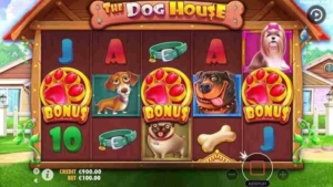 the dog house bonuses